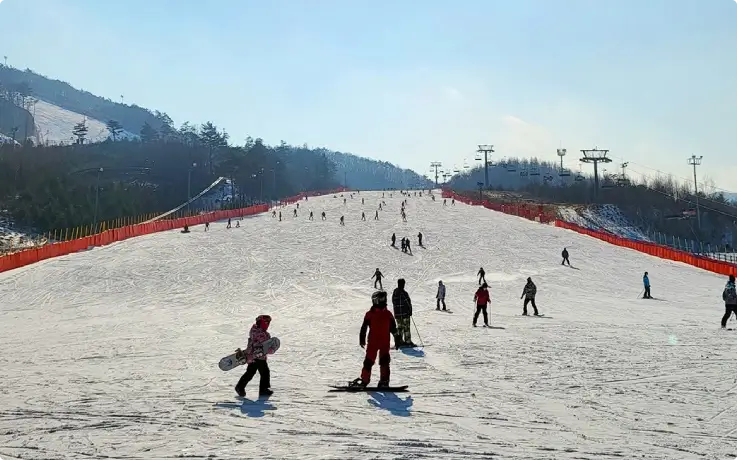 Beginners taking a ski lesson on a gentle slope at Alpensia Ski Resort.