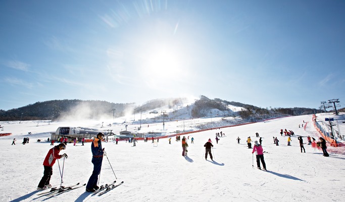 1 Day Ski/Snowboard Tour: Alpensia Ski Resort