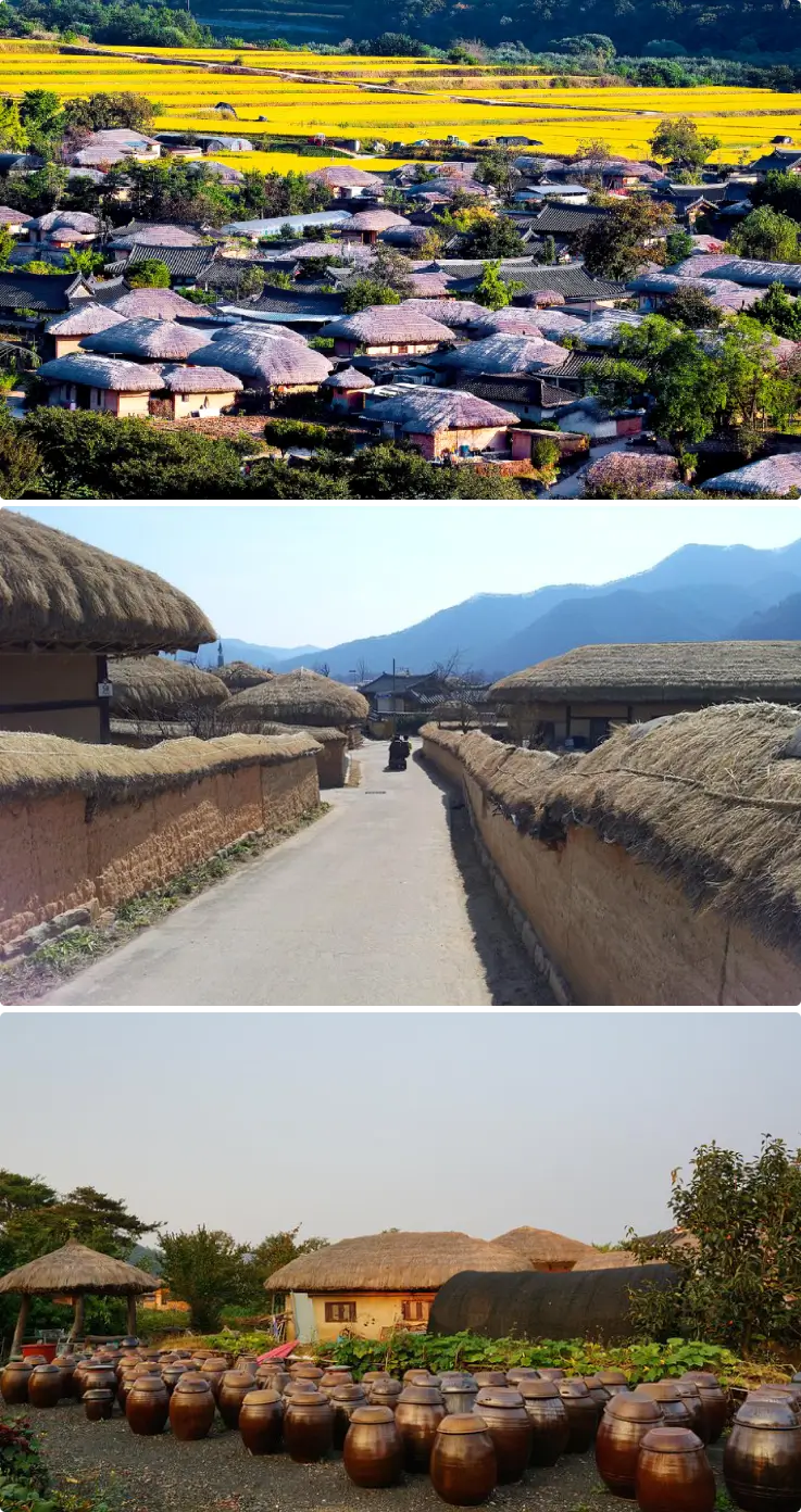 Traditional thatched roof houses at Andong Hahoe Folk Village.