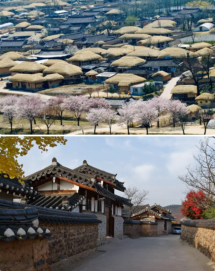 Traditional hanok houses and village scenery at Andong Hahoe Folk Village, a UNESCO World Heritage Site.
