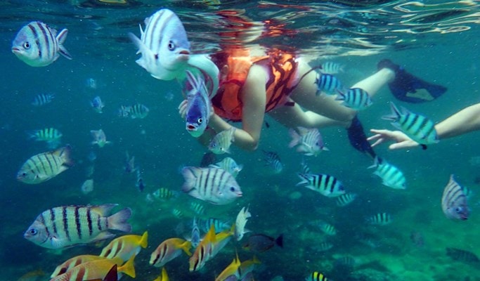 Ang Thong National Marine Park Private Yacht Tour - from Koh Samui