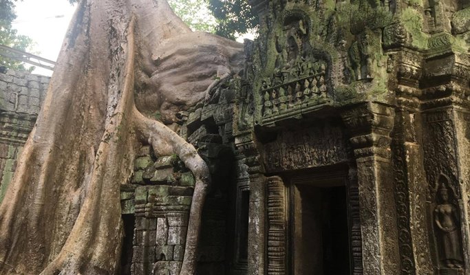 Angkor 3 Temples + Neak Pean Temple 1 Day Tour