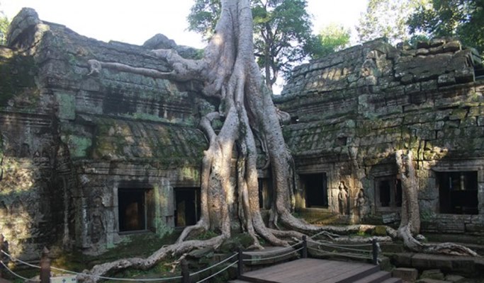 Angkor 3 Temples Sunrise Tour by Vespa Scooter with Driver (Half Day) (Join-in/Private)