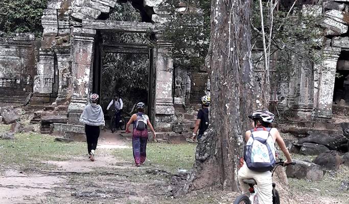 Angkor 3 Temples + Preah Khan + Ta Nei 1 Day Bicycle Tour