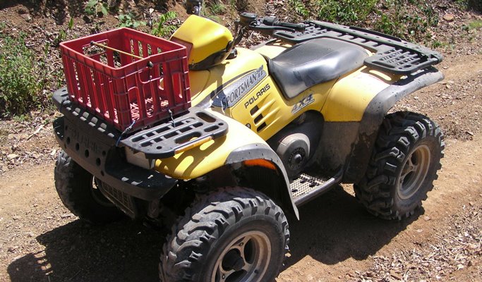 Ansan 1 Day Tour: ATV + Winery + Starlight Village (~Oct 12)