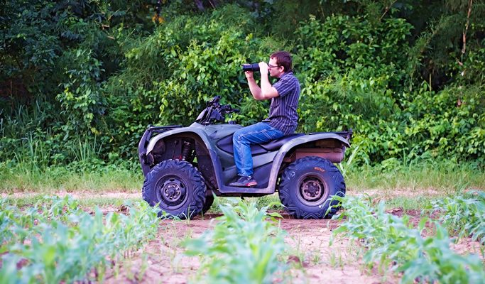 Ansan 1 Day Tour: ATV + Winery + Starlight Village (~Oct 12)
