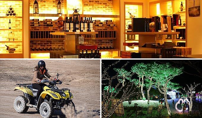 Ansan 1 Day Tour: ATV + Winery + Starlight Village (~Oct 12)