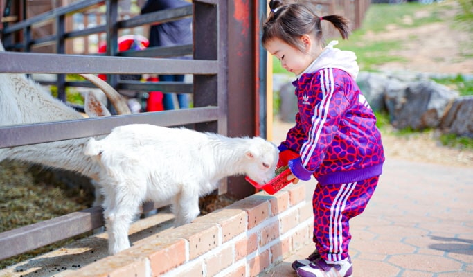Anseong UNESCO 1 Day Tour (+ Namsadang Performance/ Kimchi Making Experience) (Sept~Nov)