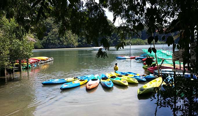 Krabi Ao Thalane Half Day Kayaking Tour (+Sunset Kayaking / BBQ option)