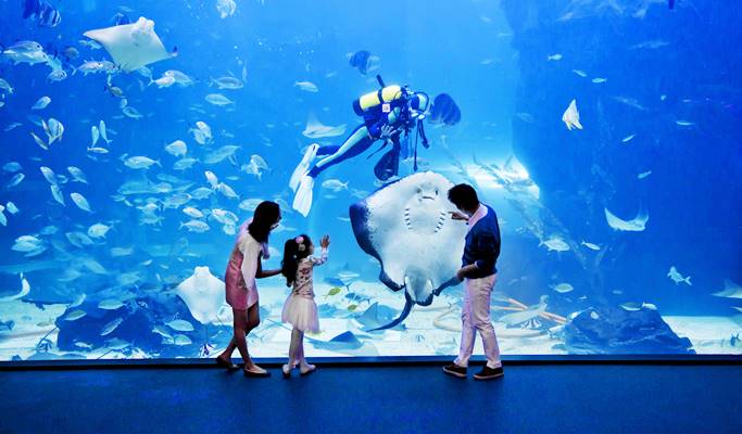 Aqua Planet Ilsan Discount Ticket