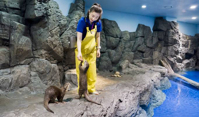 Aqua Planet Ilsan Discount Ticket