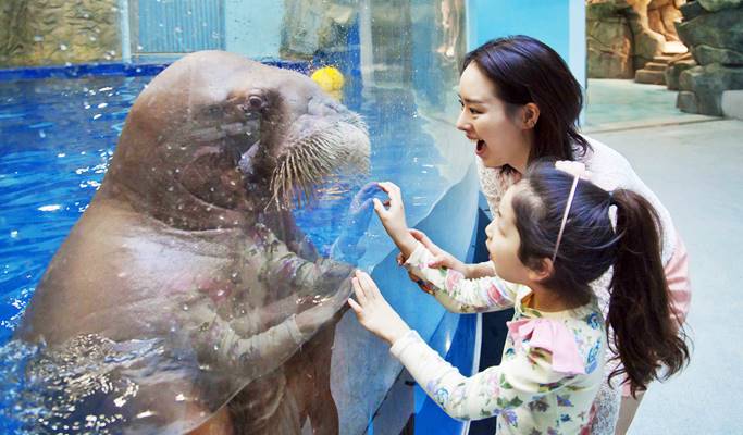 Aqua Planet Ilsan Discount Ticket