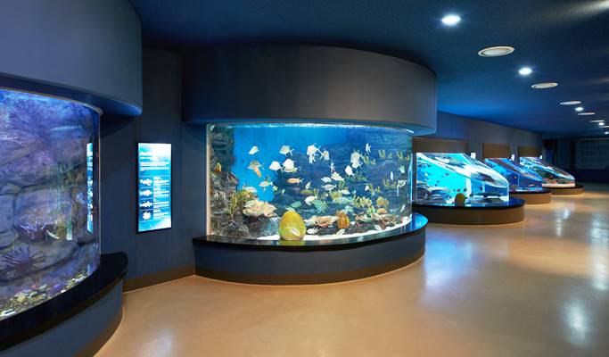 Aqua Planet Jeju - Trazy, Korea's #1 Travel Guide