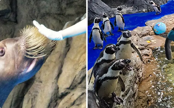 Ecological observation & educational program at Aqua Planet Ilsan