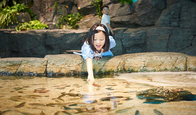Aqua Planet Ilsan Discount Ticket