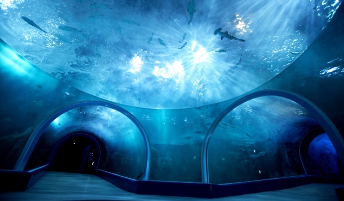 丽水Aqua Planet 优惠门票（+ Helga Stentzel 展览选项）