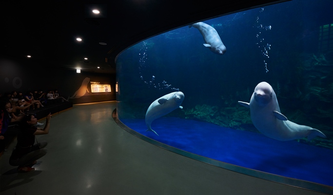 [Glocal]麗水Aqua Planet海洋世界＆Arte Museum 組合票