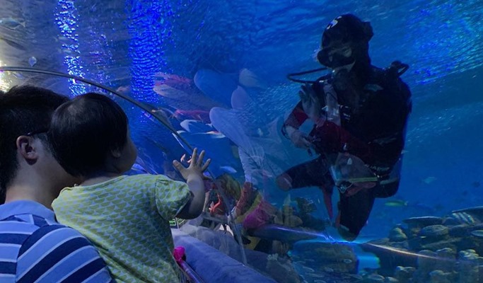 Kuala Lumpur Aquaria KLCC Discount Ticket