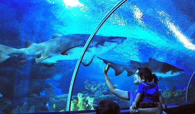 Kuala Lumpur Aquaria KLCC Discount Ticket