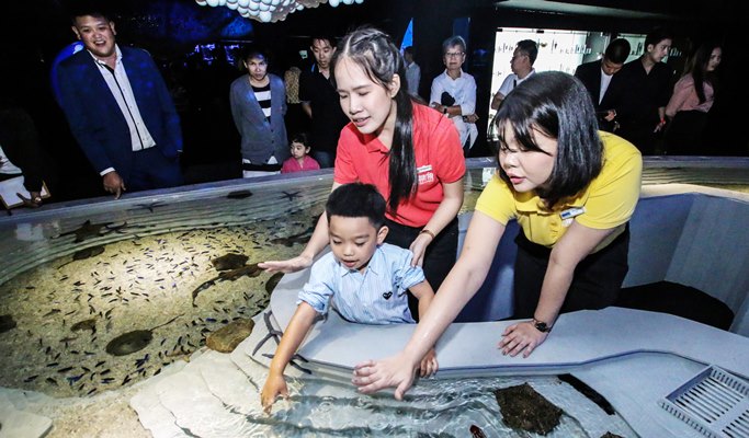 普吉島布吉水族館（Aquaria Aquarium）＋AR特麗愛博物館（ Trick Eye Museum）組合優惠票