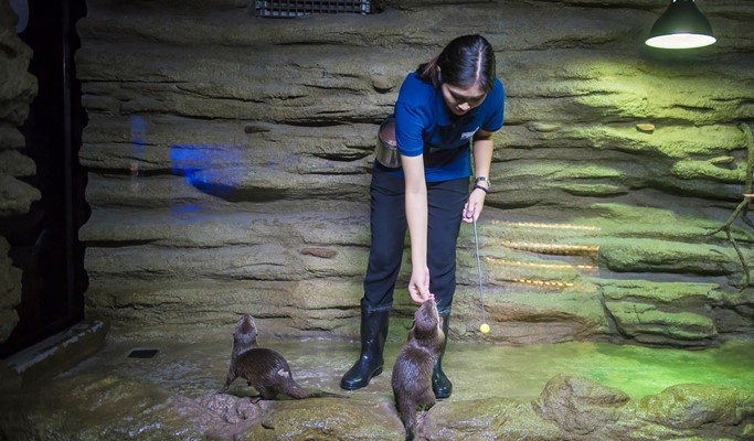普吉島布吉水族館（Aquaria Aquarium）＋AR特麗愛博物館（ Trick Eye Museum）組合優惠票