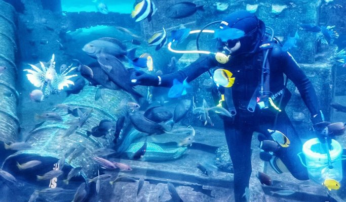 普吉島布吉水族館（Aquaria Aquarium）＋AR特麗愛博物館（ Trick Eye Museum）組合優惠票