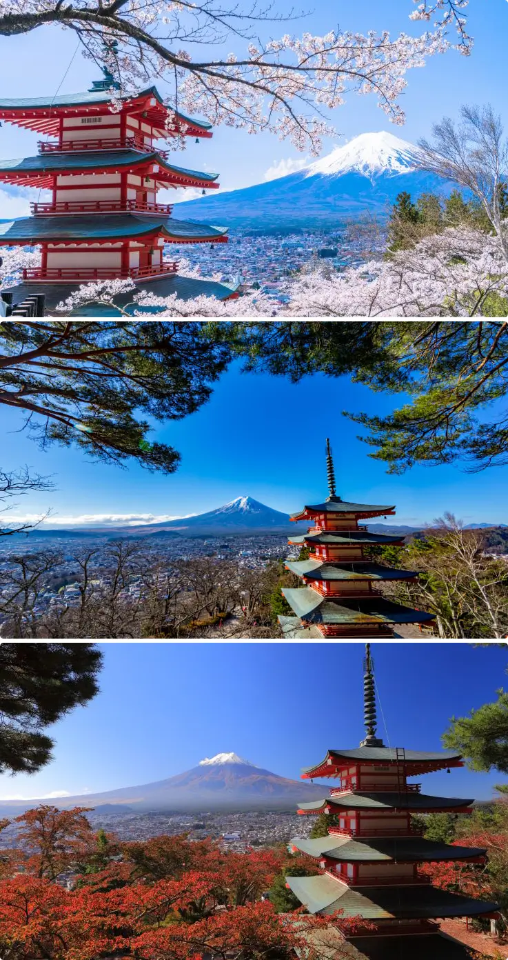 Seasonal view of Mount Fuji framed by pink cherry blossoms in the spring and foliage in the fall.