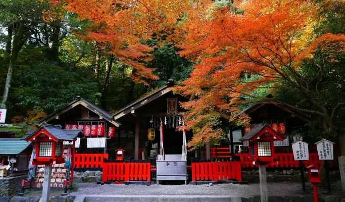 Kyoto & Nara Highlights 1 Day Tour from Osaka