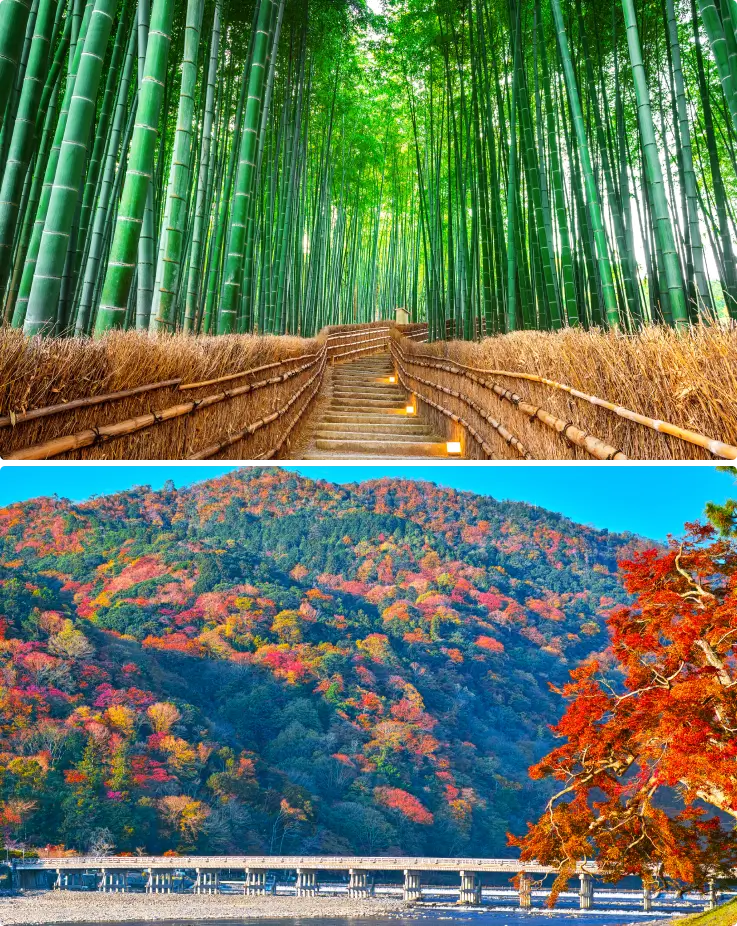 Arashiyama Bamboo Forest and Togetsukyo Bridge