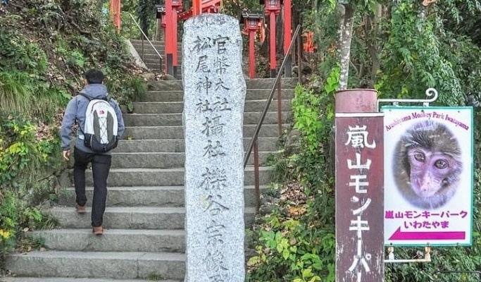 Kyoto Arashiyama 1 Day Private Tour