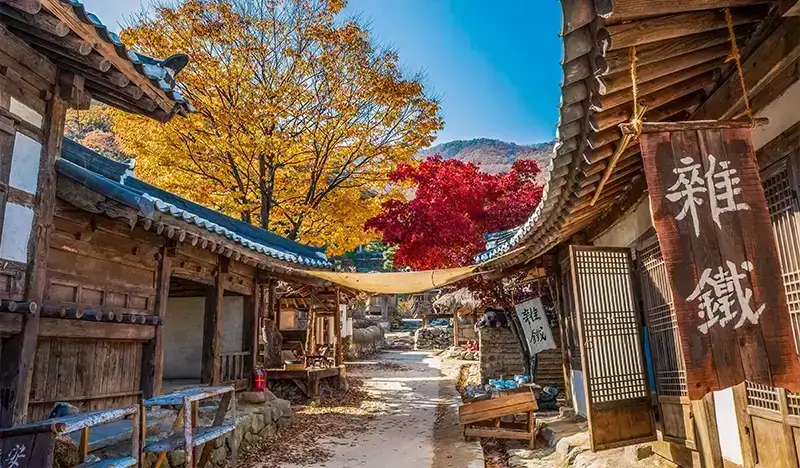 ARMY Tour: Explore Seoul Through the Eyes of BTS - view 2