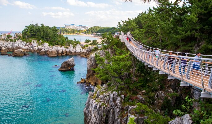 [K Story Tour] Gangneung & Donghae Filming Location 1 Day/ 2D1N Tour (by KTX+Bus) - from Seoul