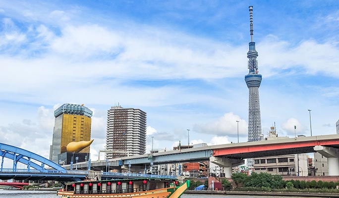 Asakusa Must-See Spots 1 Day Private Tour