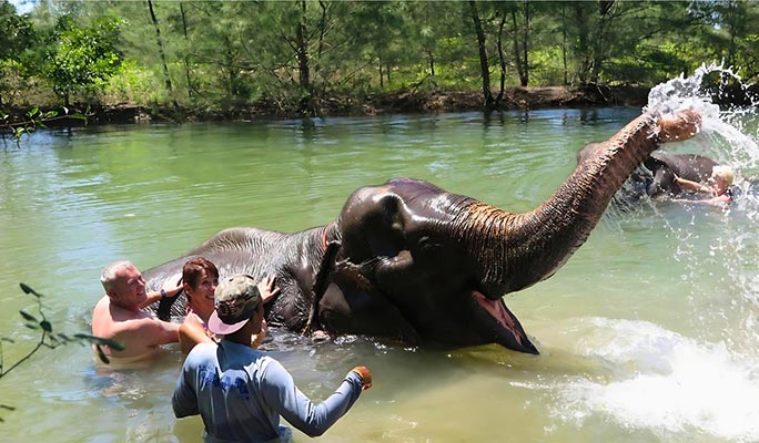 Phuket Whitewater Rafting + ATV + Zipline + Waterfall + Monkey Cave + Elephant Bathing (+ Hotel Transfer)
