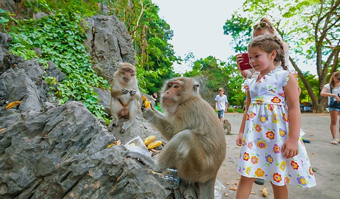 Phuket Whitewater Rafting + ATV + Zipline + Waterfall + Monkey Cave + Elephant Bathing (+ Hotel Transfer)