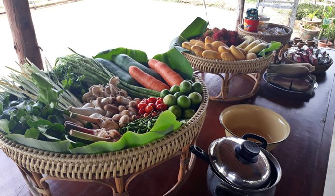 Authentic Farming Experience in Chiang Mai (Half Day)