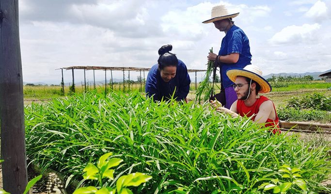 Authentic Farming Experience in Chiang Mai (Half Day)