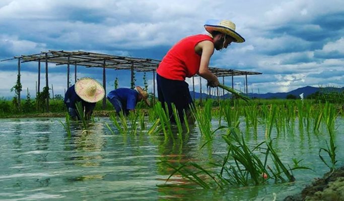 Authentic Farming Experience in Chiang Mai (Half Day)
