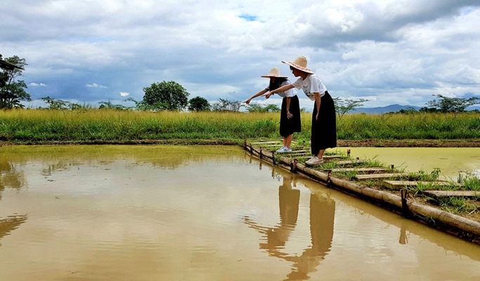 Authentic Farming Experience in Chiang Mai (Half Day)
