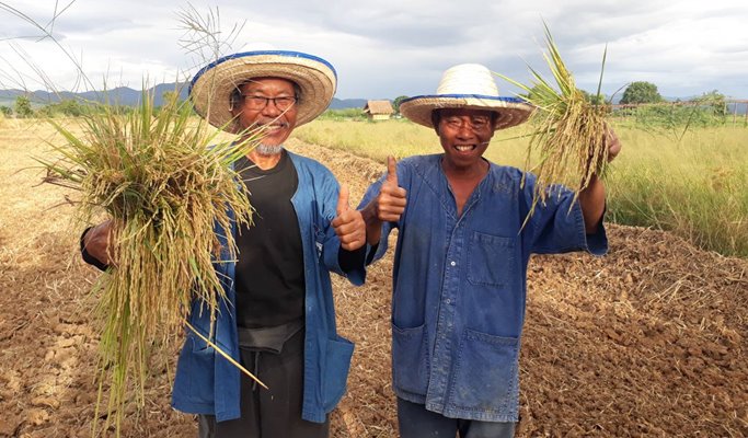 Authentic Farming Experience in Chiang Mai (Half Day)