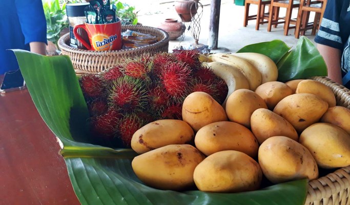 Authentic Farming Experience in Chiang Mai (Half Day)