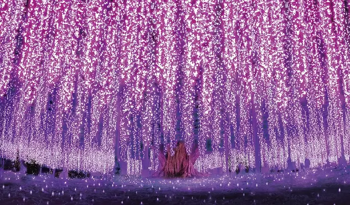 Autumn Special: Ashikaga Flower Garden of Lights & Hitachi Seaside Park Tour from Tokyo (Nov 15~Dec 15)