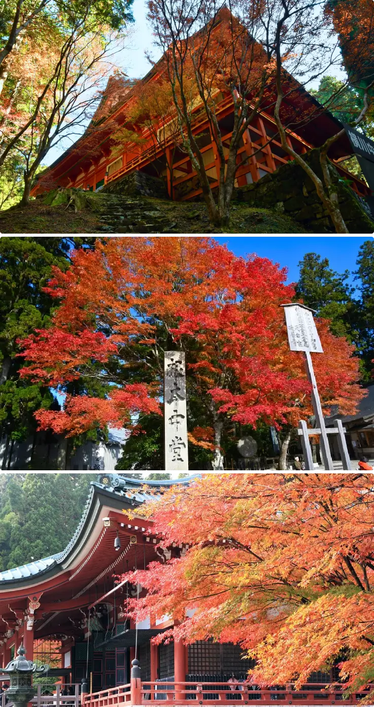Enryakuji Temple on Mt. Hiei with brilliant autumn foliage.