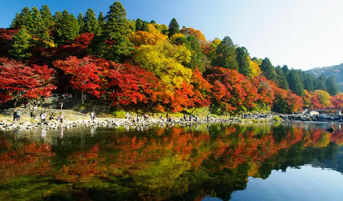 Autumn Special: Kokeizan Eihoji + Obara Shikizakura + Korankei 1 Day Tour from Nagoya (Nov 1~Dec 8)