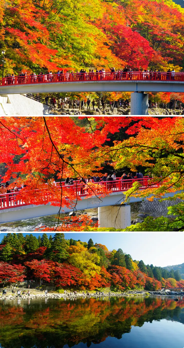 Korankei Gorge with colorful autumn foliage along the river and hiking trails