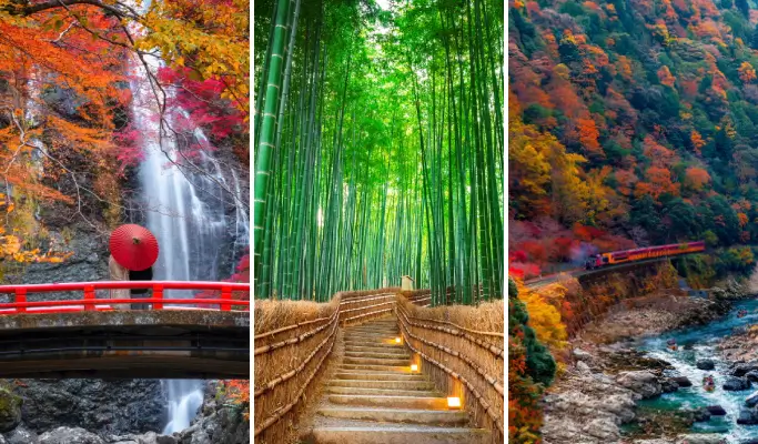 Kyoto Autumn Highlights 1 Day Tour from Osaka