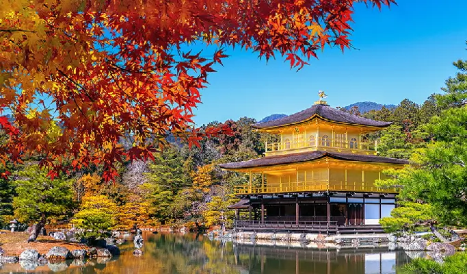 Autumn Special: Kyoto Minoh Falls & Sagano Romantic Train & Arashiyama & Kinkakuji Temple1 Day Tour from Osaka (Oct 27~Dec 5)