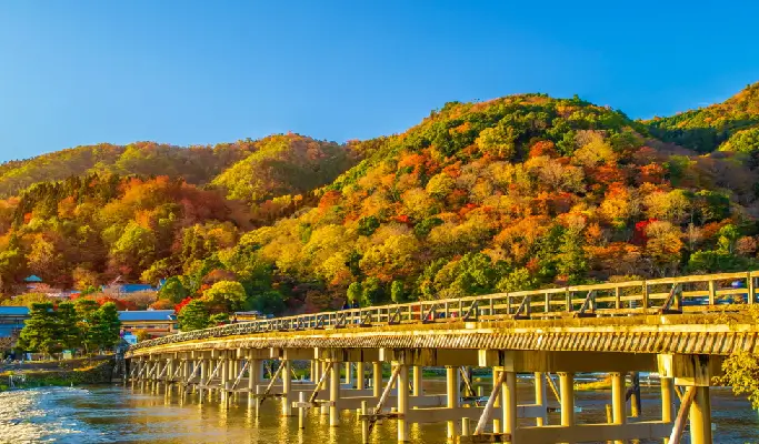 Autumn Special: Kyoto Minoh Falls & Sagano Romantic Train & Arashiyama & Kinkakuji Temple1 Day Tour from Osaka (Oct 27~Dec 5)