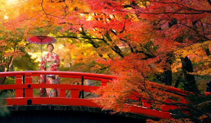 Autumn Special: Kyoto Minoh Falls & Sagano Romantic Train & Arashiyama & Kinkakuji Temple1 Day Tour from Osaka (Oct 27~Dec 5)