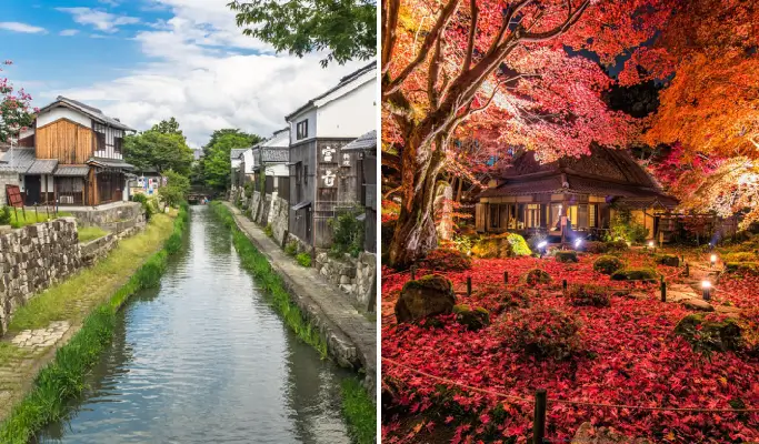 Autumn Special: Mt. Hiei Enryakuji Temple + Hachiman-bori Canal + Kyorinbo Temple Tour from Osaka/ Kyoto (Nov 15~Dec 7)